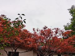 -何园