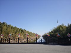 -黄海国家森林公园