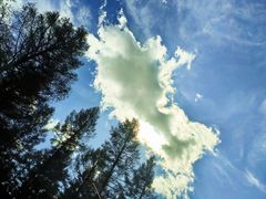 -塞罕坝国家级自然保护区