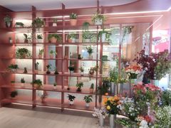 -二酉书店TOYOU BOOKS