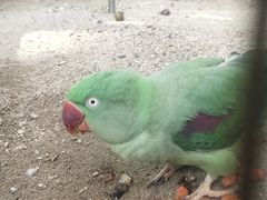 -大连森林动物园