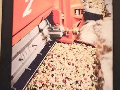 -星巴克臻选(威海威高广场店)