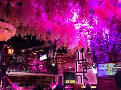 -音乐房子(鎏嘉码头店)