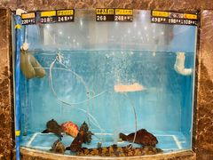 -海港酒楼·平价海鲜·茶点(小公园店)