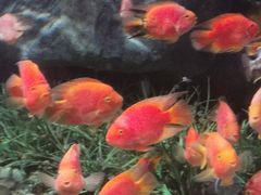 -福州罗源湾海洋世界旅游区