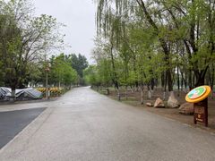 -长白岛森林公园