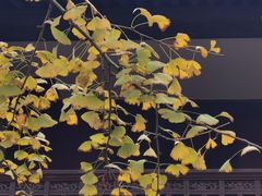-蒋氏故居