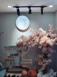 -白壁上妍の日式美肌·徒手小颜整骨院