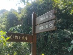 -梧桐山风景名胜区