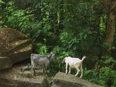 -福建鲤鱼洲酒店