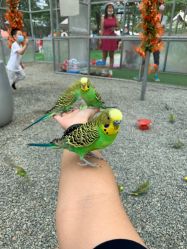 -萌宠亲子动物乐园(槐房万达店)