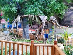 -中国第四纪冰川遗迹陈列馆