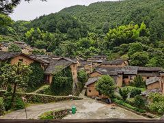 -杨家堂村
