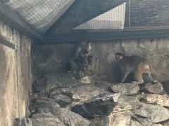 -北京市海淀外国语实验学校