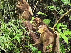 -西岭雪山大飞水景区
