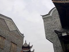 -武汉园博园(武汉自然博物馆)