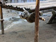 -杭州野生动物世界