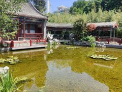 -月坛公园