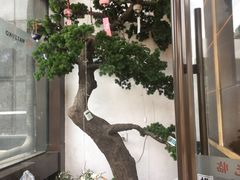 -松子料理(亮马桥店)