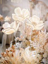 -红丝高端婚礼中心(旗舰店)