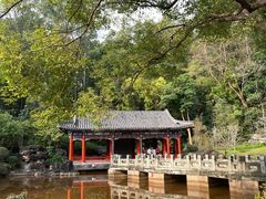 -深圳国际园林花卉博览园