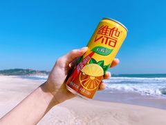 -汕尾风车岛