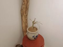 -箱美术馆私房菜(水晶郦城店)