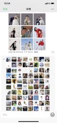 点击看大图 -卡米拉婚纱摄影工作室(金汇广场店)
