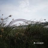 站在长江边上，左右各有三座桥，重庆既是雾都也是桥都