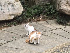 -敬亭山风景名胜区