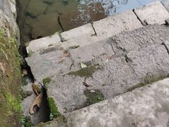 -李宗仁先生故居