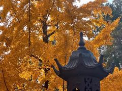 -洛阳白马寺
