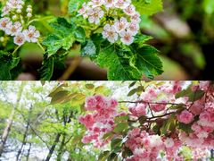 -沂蒙山旅游区龟蒙景区