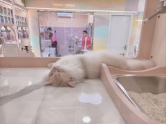 -BAKER&SPICE(BFC外滩金融中心店)