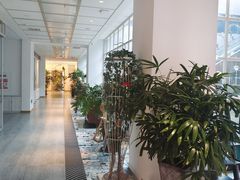 -ins森林童话餐厅coffee&bistro