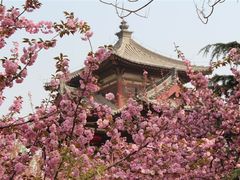 -西安青龙寺遗址景区