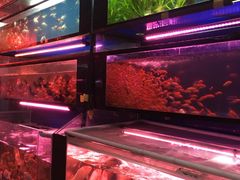 -三圣花乡旅游区