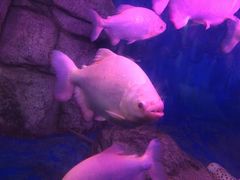 -泉州海丝野生动物世界