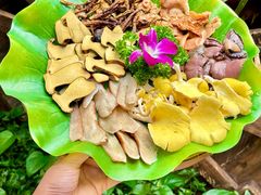 -大理董·董家小厨野生菌火锅(古城旗舰店)