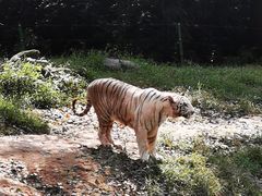 -杭州野生动物世界