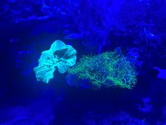 -上和臻品中国菜(花园街店)