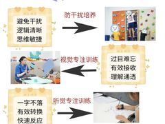 -金色雨林感统训练·专注力·语言认知·心理沙盘(天通苑校区)