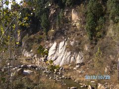 -鲁山国家森林公园