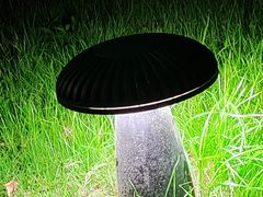 -天鹅湖体育公园