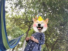 -梁鸿国家湿地公园