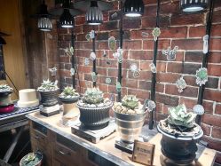 -青木造型HAIR·あおき髪を刈る潮人店