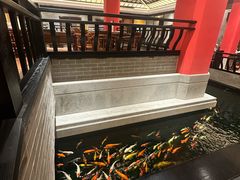 -龙悦湾酒家·八阵鱼生·渔人码头店