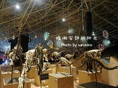 -世界恐龙谷景区