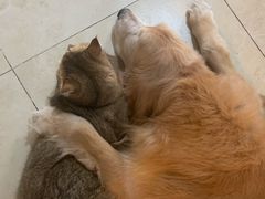 -北京博爱动物医院有限公司