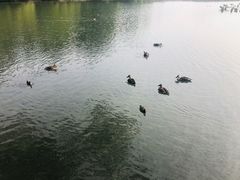 -苏堤停车场